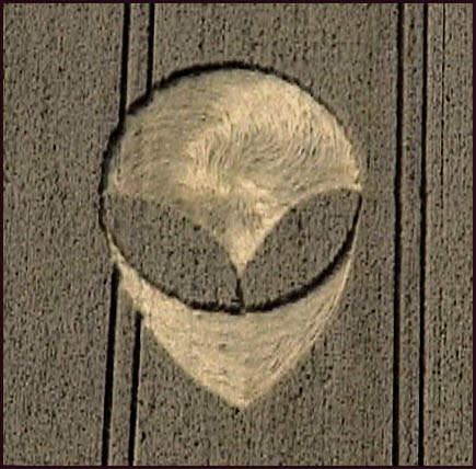 ShiwaGrayTWK.jpg (44368 bytes)