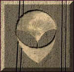 ShiwaGrayTWK_small.jpg (4512 bytes)