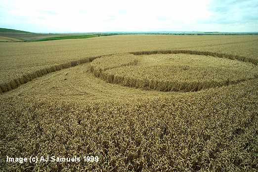 alien1.jpg (41091 bytes)