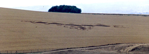 borstal99a.jpg (15727 bytes)