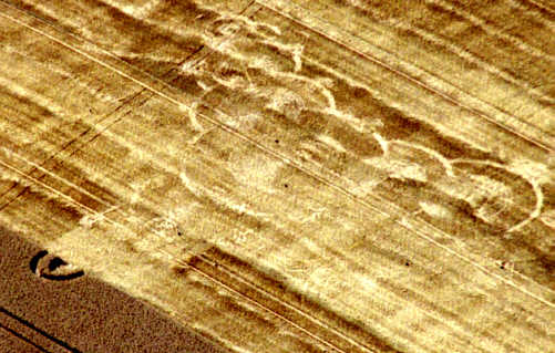 borstal99b.jpg (38210 bytes)