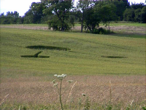 hamgreen99d.jpg (26898 bytes)