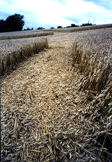 Lenham99b.jpg (96178 bytes)