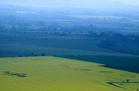 milktelephoto99.jpg (30786 bytes)