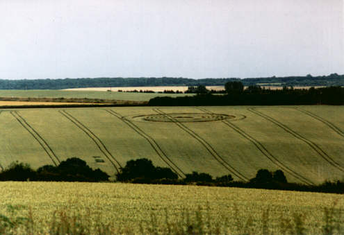 morcott99b.jpg (24492 bytes)