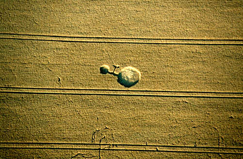 oakley99b.jpg (46165 bytes)