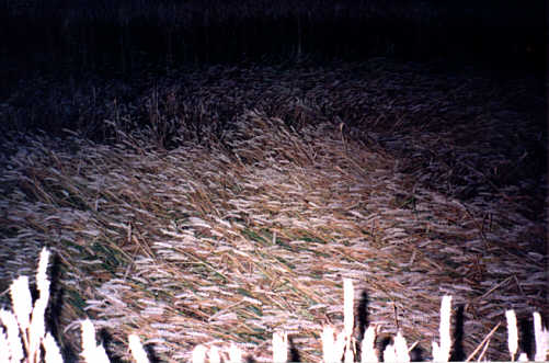 oakley99e.jpg (32280 bytes)