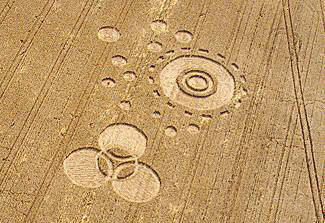 UpperBeeding99a.jpg (24760 bytes)