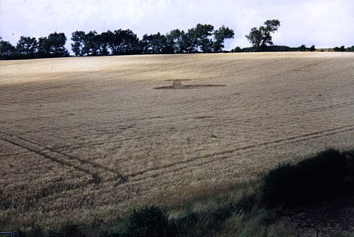 Whitstable99a.jpg (29127 bytes)