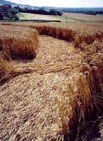 BroadSt5.jpg (66346 bytes)