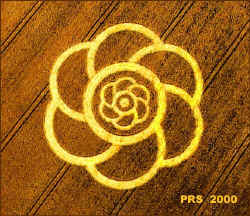 FlowerinFlowerTWK.jpg (98958 bytes)