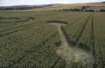 aveburyavenue2000e.jpg (48605 bytes)