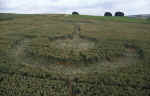 aveburyavenue2000g.jpg (45117 bytes)