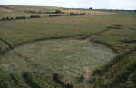 aveburyavenue2000h.jpg (41886 bytes)