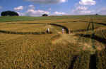 aveburydown2000a.jpg (54896 bytes)