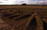 aveburytrusloe2000f.jpg (50737 bytes)