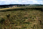 fieldreport1.jpg (51784 bytes)