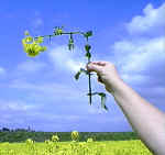 Farningham99b.jpg (25749 bytes)