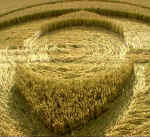 hodson2000a5.jpg (53505 bytes)