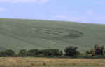 charminster94a.jpg (420968 bytes)