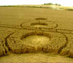 shawhill2000a8.jpg (40302 bytes)