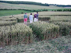 DSC01615.jpg (52096 bytes)