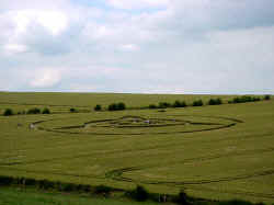 DSC01620.jpg (18756 bytes)