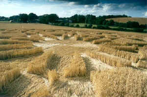 Image 1 SATAN.jpg (44649 bytes)