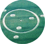 borst012a.gif (105764 bytes)
