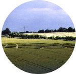 imagedarf01a.gif (57796 bytes)
