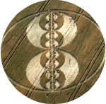 cliffords2001b.gif (161129 bytes)