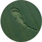 greenstreet2001C.gif (70613 bytes)