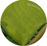 honeystreet2001r.gif (90041 bytes)