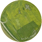 honeystreet2001rb.gif (92738 bytes)