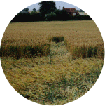 marsham1.gif (583163 bytes)