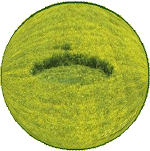 PewseyHorseTK.gif (67895 bytes)