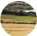 sandalcastle2001a.gif (636824 bytes)