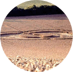 Shoreham2.gif (82367 bytes)