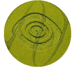 oldwinchesterhill2001ring.gif (142409 bytes)