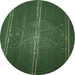 StephenCastleDown.gif (131235 bytes)
