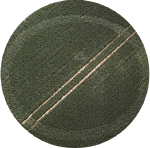 StephenCastleDownring.gif (144298 bytes)