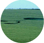 aveburycarpark3.gif (60305 bytes)
