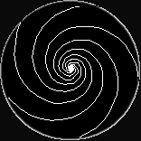 torspincirc.gif (2865 bytes)