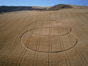 crop circles in Enna