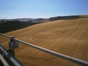crop circles in Enna