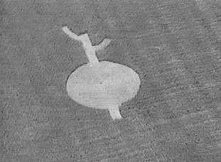 sunset98b.jpg (13157 bytes)