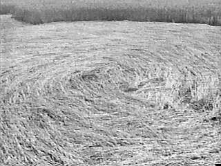 sunset98c.jpg (19503 bytes)