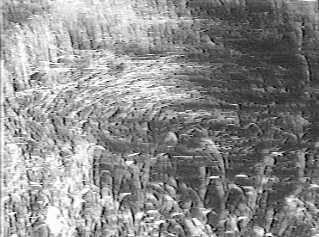 sunset98f.jpg (17259 bytes)