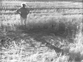 sunset98i.jpg (14421 bytes)