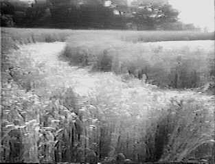 sunset98k.jpg (12087 bytes)